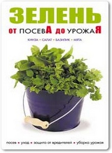 Зелень: От посева до урожая - Калинина Т.
