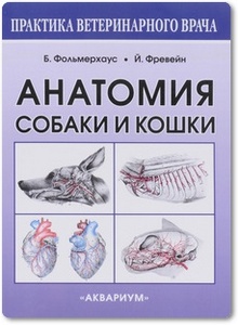 Анатомия собаки и кошки - Амзельгрубер В. и др.