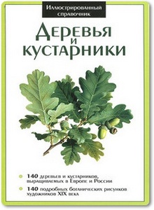 Деревья и кустарники - Шишкин К.