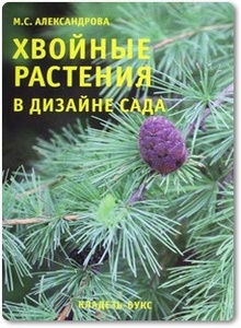 Хвойные растения в дизайне сада - Александрова М. С.