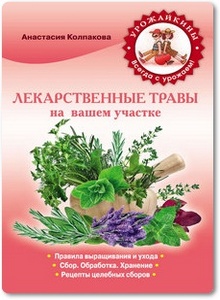 Лекарственные травы на вашем участке - Колпакова А. В.