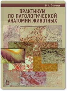Практикум по патологической анатомии животных - Салимов В. А.