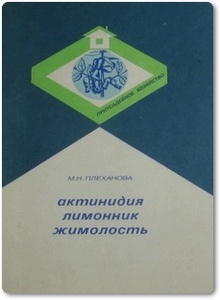 Актинидия, лимонник, жимолость - Плеханова М.