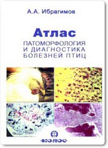 Атлас: Патоморфология и диагностика болезней птиц - Ибрагимов А.