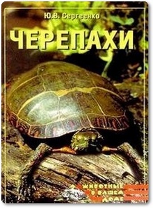 Черепахи - Сергеенко Е.