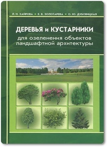 Деревья и кустарники для озеленения объектов ландшафтной архитектуры - Хайрова Л. Н. и др.
