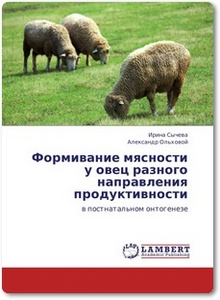 Формивание мясности у овец разного направления продуктивности