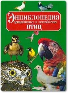 Энциклопедия декоративных и экзотических птиц - Умельцев А. П.