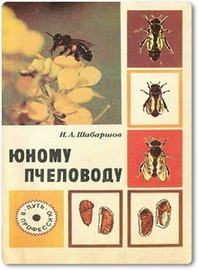 Юному пчеловоду - Шабаршов И. А.