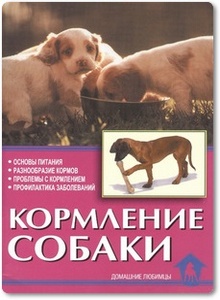 Кормление собаки - Зорин В.