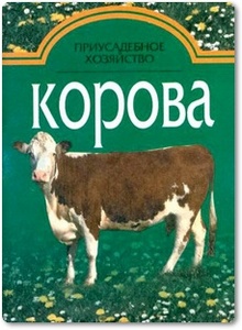 Корова - Петровский А.