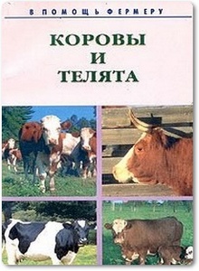Коровы и телята: Разведение, выращивание