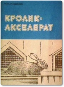 Кролик-акселерат - Михайлов Н.