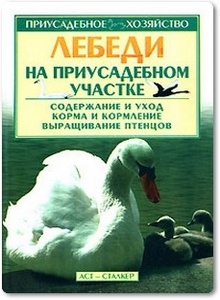 Лебеди на приусадебном участке - Бондаренко С. П.