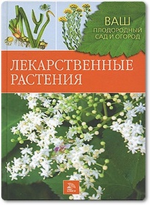 Лекарственные растения - Немичева Н.