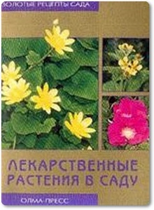 Лекарственные растения в саду - Куликова В.