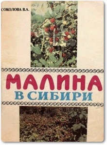 Малина в Сибири - Соколова В.