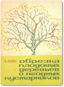 Обрезка плодовых деревьев и ягодных кустарников - Анзин Б. Н.