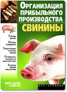 Организация прибыльного производства свинины - Александров С. Н. и др.
