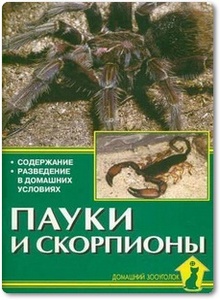 Пауки и скорпионы - Чегодаев А. Д.