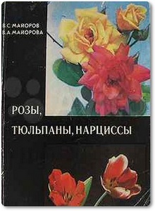 Розы, тюльпаны, нарциссы - Майоров В. С.