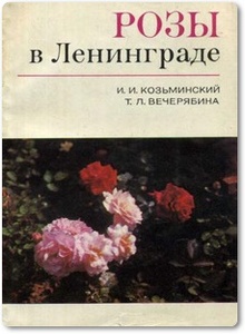 Розы в Ленинграде - Козьминский И. И.