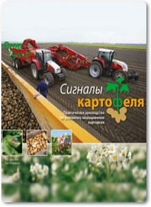 Сигналы картофеля: Практическое руководство по успешному выращиванию картофеля - Кес ван Лон и др.