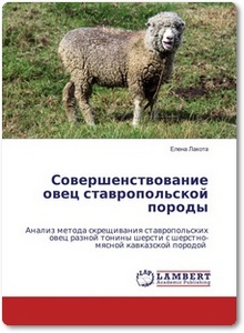 Совершенствование овец ставропольской породы