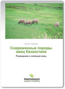 Современные породы овец Казахстана