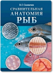Сравнительная анатомия рыб - Скопичев В. Г.