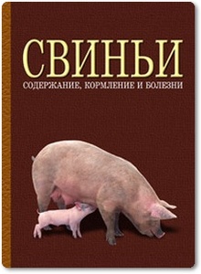 Свиньи: содержание, кормление и болезни - Кузнецов А. Ф.