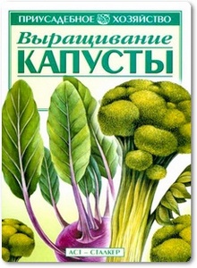 Выращивание капусты - Жук О.