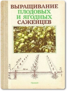 Выращивание плодовых и ягодных саженцев - Майдебура В. И. и др.