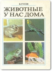 Животные у нас дома - Гусев В.
