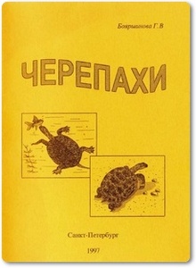 Черепахи - Бояршинова Г. В.