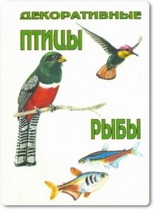 Декоративные птицы и рыбы - Варга-Мураи