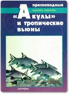 Пресноводные акулы и тропические вьюны - Кочетов С. М.