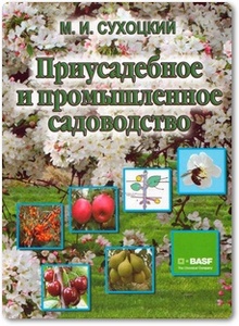 Приусадебное и промышленное садоводство - Сухоцкий М. И.