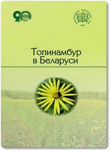 Топинамбур в Беларуси
