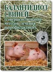 Балантидиоз свиней - Луцук С. Н.