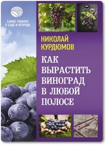 Как вырастить виноград в любой полосе - Курдюмов Н.