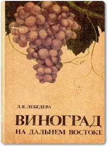 Виноград на Дальнем Востоке - Лебедева Л. Я.
