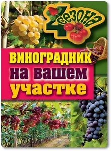 Виноградник на вашем участке - Животовская Е.