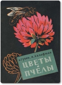 Цветы и пчелы - Губин А.