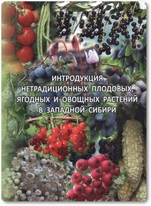 Интродукция нетрадиционных плодовых, ягодных и овощных растений в Западной Сибири - Коропачинский И. Ю.