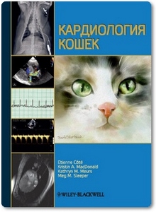 Кардиология кошек - Каменева А. В.