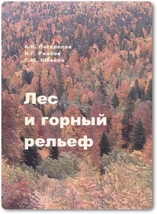 Лес и горный рельеф - Погорелов А. В.