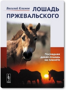 Лошадь Пржевальского - Климов В. В.