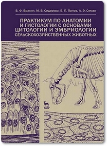 Практикум по анатомии и гистологии с основами гистологии и эмбриологии сельскохозяйственных животных - Вракин В. Ф.