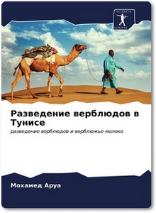 Разведение верблюдов в Тунисе - Аруа М.